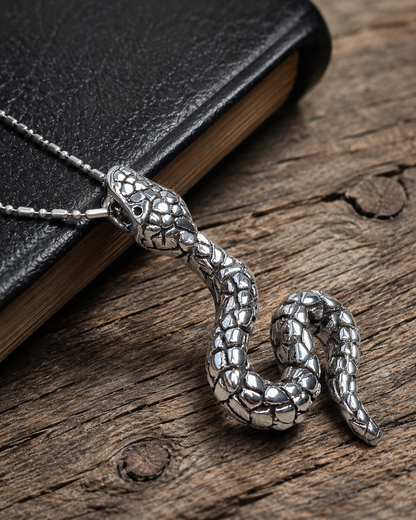 Sterling Silver Snake Pendant Necklace – Hollow Serpent Design, Oxidized 925 Silver Jewelry