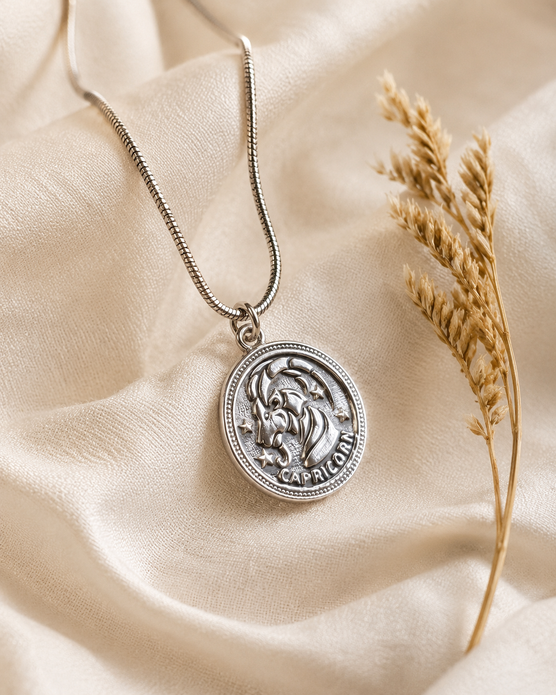Sterling Silver Capricorn Zodiac Pendant Necklace – Astrology Coin Charm Jewelry Gift